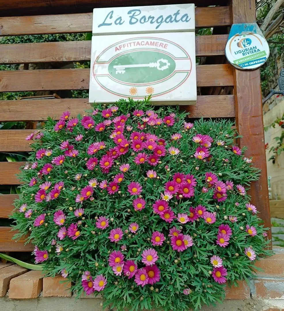 Affittacamere Hotel La Borgata Tovo San Giacomo